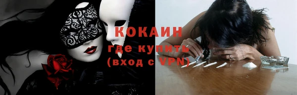 круглые Гусев