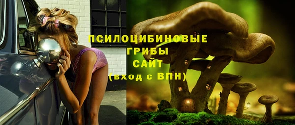 молекула духа Наволоки