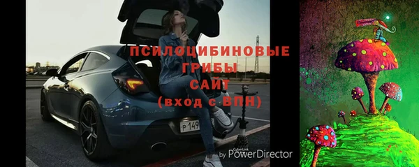 стафф Михайлов
