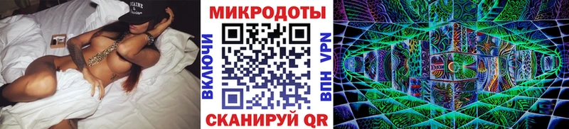 закладки  Островной  Псилоцибиновые грибы Psilocybe 